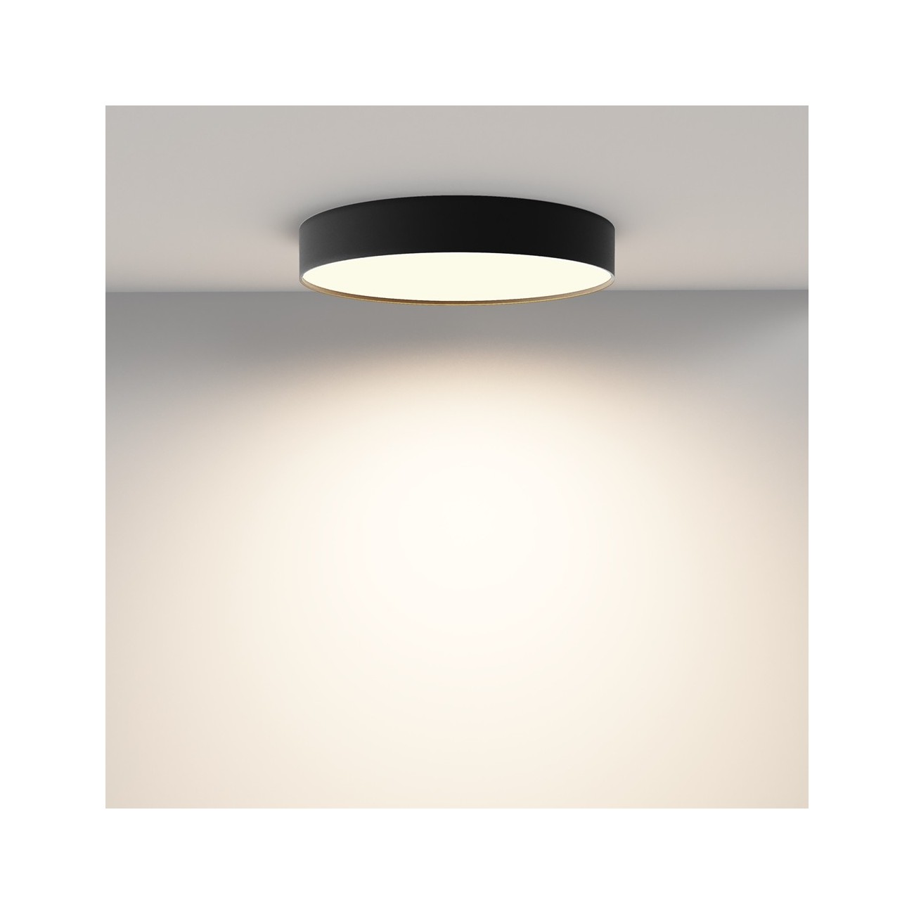 Maytoni Ceiling Roof lamp Zon