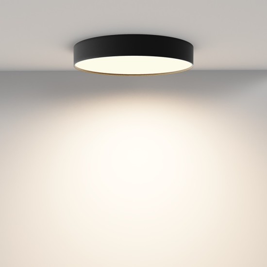 Maytoni Ceiling Lampada a Tetto Zon
