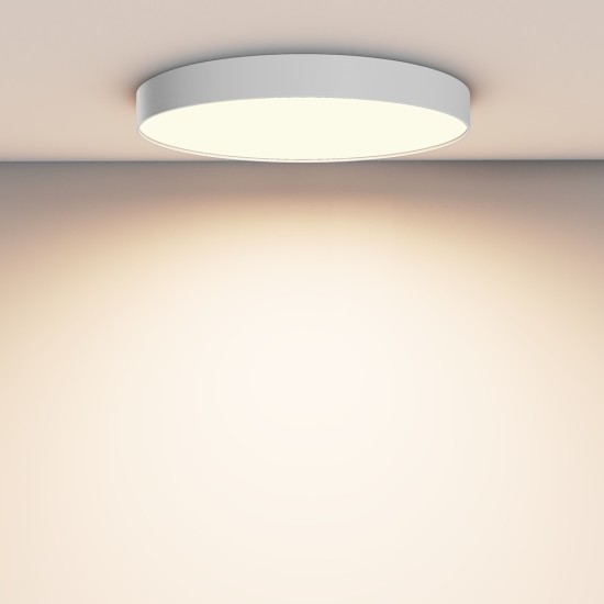 Maytoni Ceiling Lampe de Toit Zon