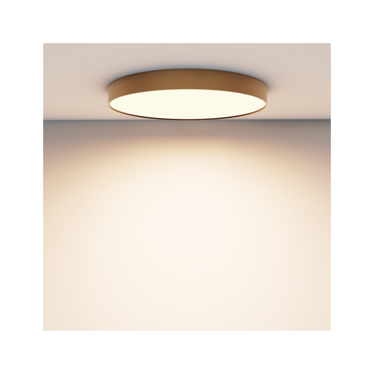 Maytoni Ceiling Lampada a Tetto Zon