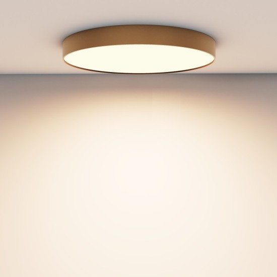 Maytoni Ceiling Roof lamp Zon