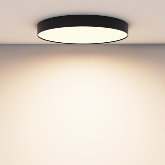 Maytoni Ceiling Lampada a Tetto Zon