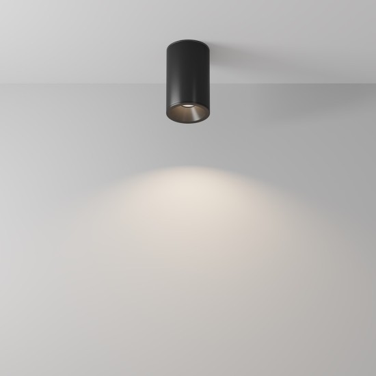 Maytoni Ceiling Lampada a Tetto Zoom