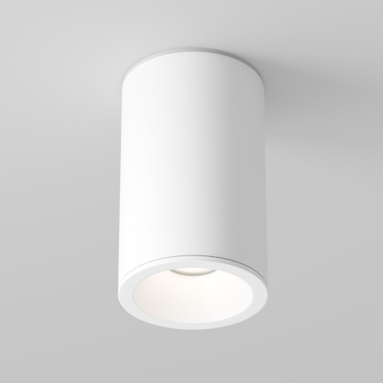 Maytoni Ceiling Roof lamp Zoom