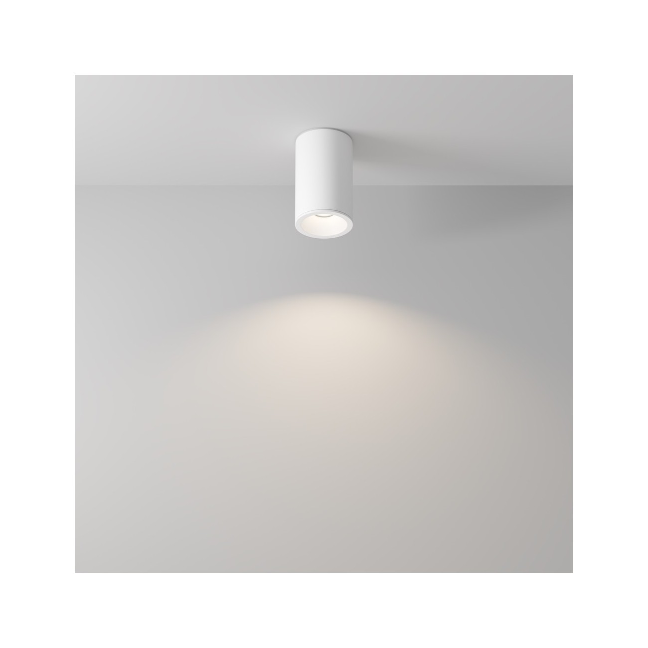 Maytoni Ceiling Lampada a Tetto Zoom