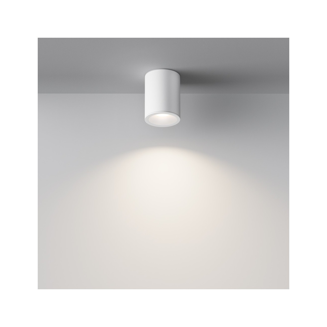 Maytoni Ceiling Roof lamp Zoom