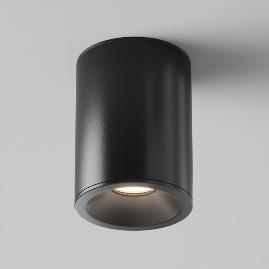 Maytoni Ceiling Roof lamp Zoom
