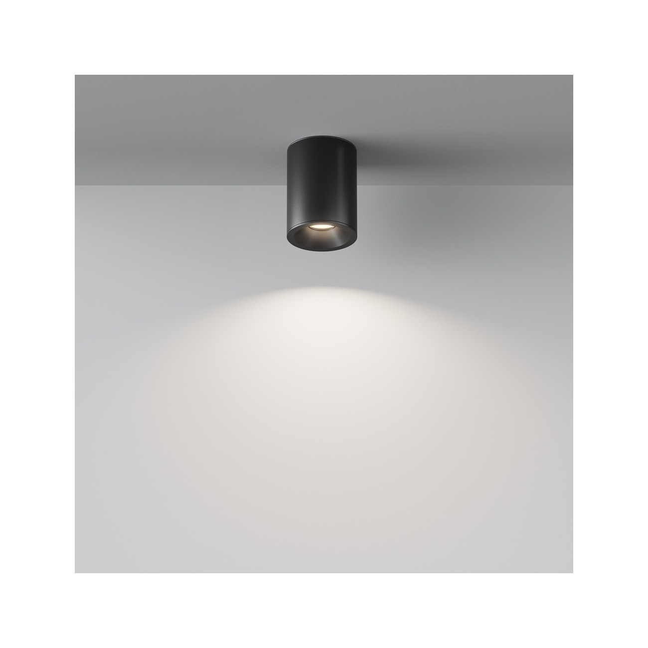 Maytoni Ceiling Roof lamp Zoom