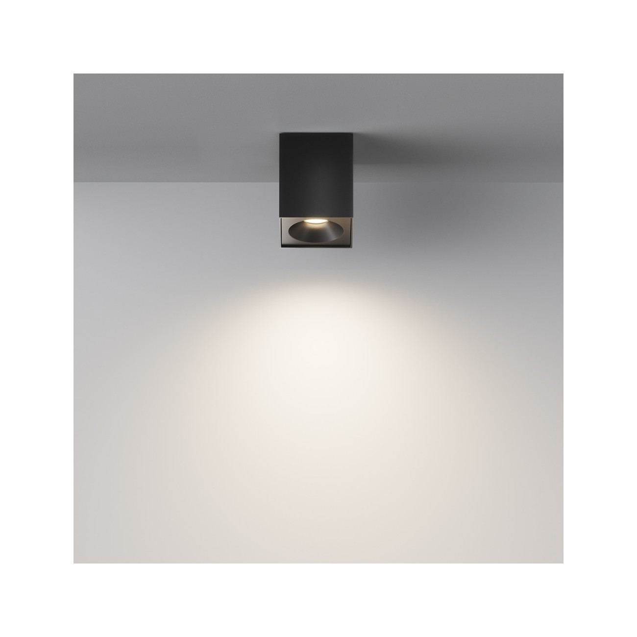 Maytoni Ceiling Lampe de Toit Zoom