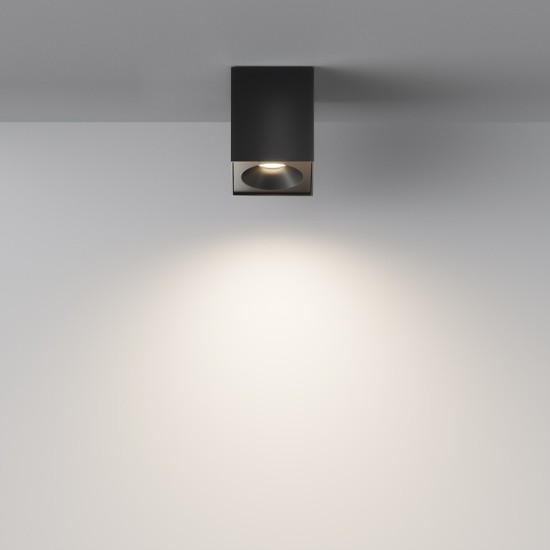 Maytoni Ceiling Lampada a Tetto Zoom