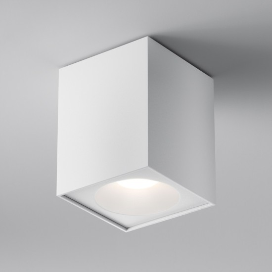 Maytoni Ceiling Roof lamp Zoom