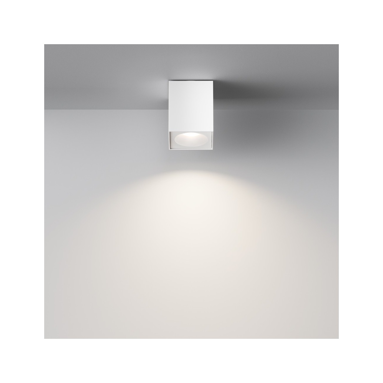 Maytoni Ceiling Lampada a Tetto Zoom