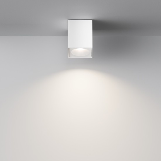 Maytoni Ceiling Lampada a Tetto Zoom