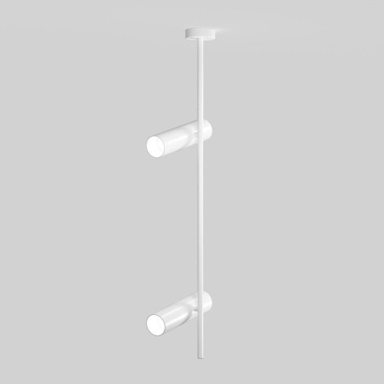 Maytoni Ceiling Roof lamp Elti