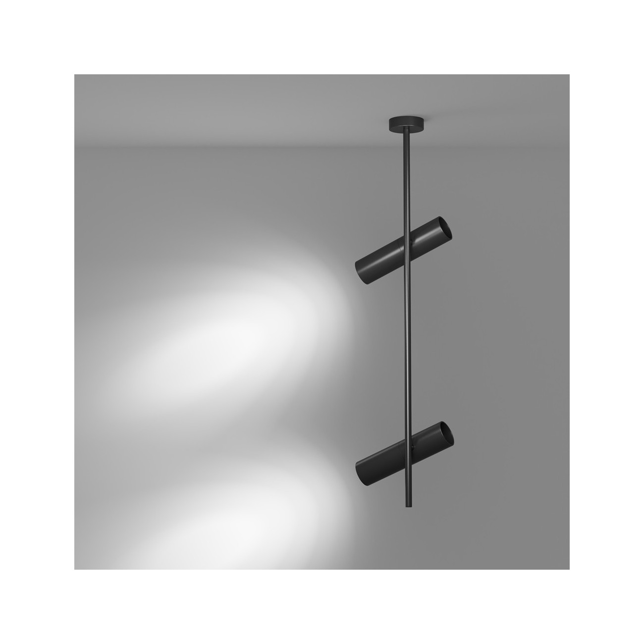 Maytoni Ceiling Roof lamp Elti