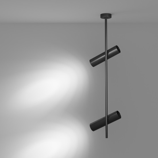 Maytoni Ceiling Roof lamp Elti