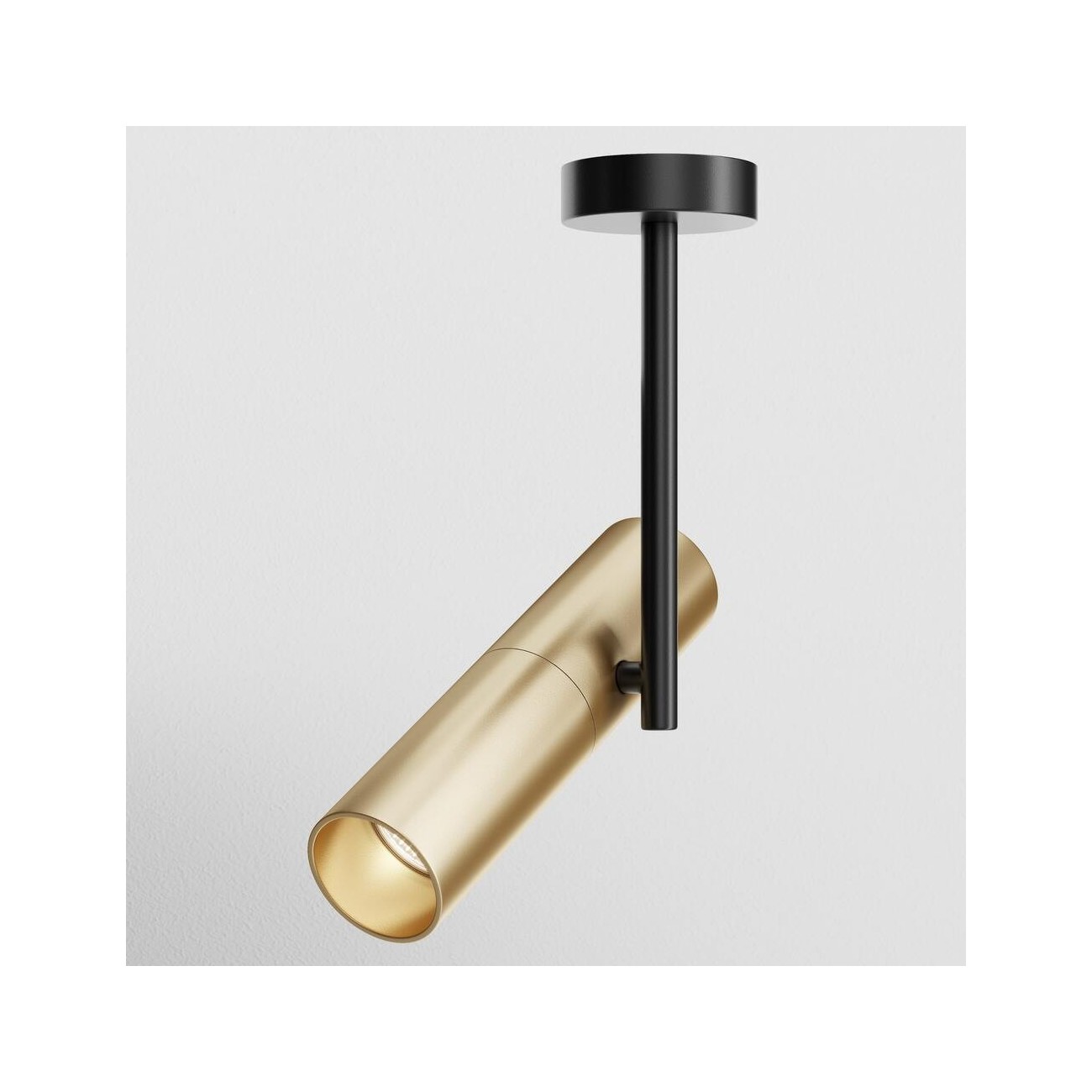 Maytoni Ceiling Roof lamp Elti