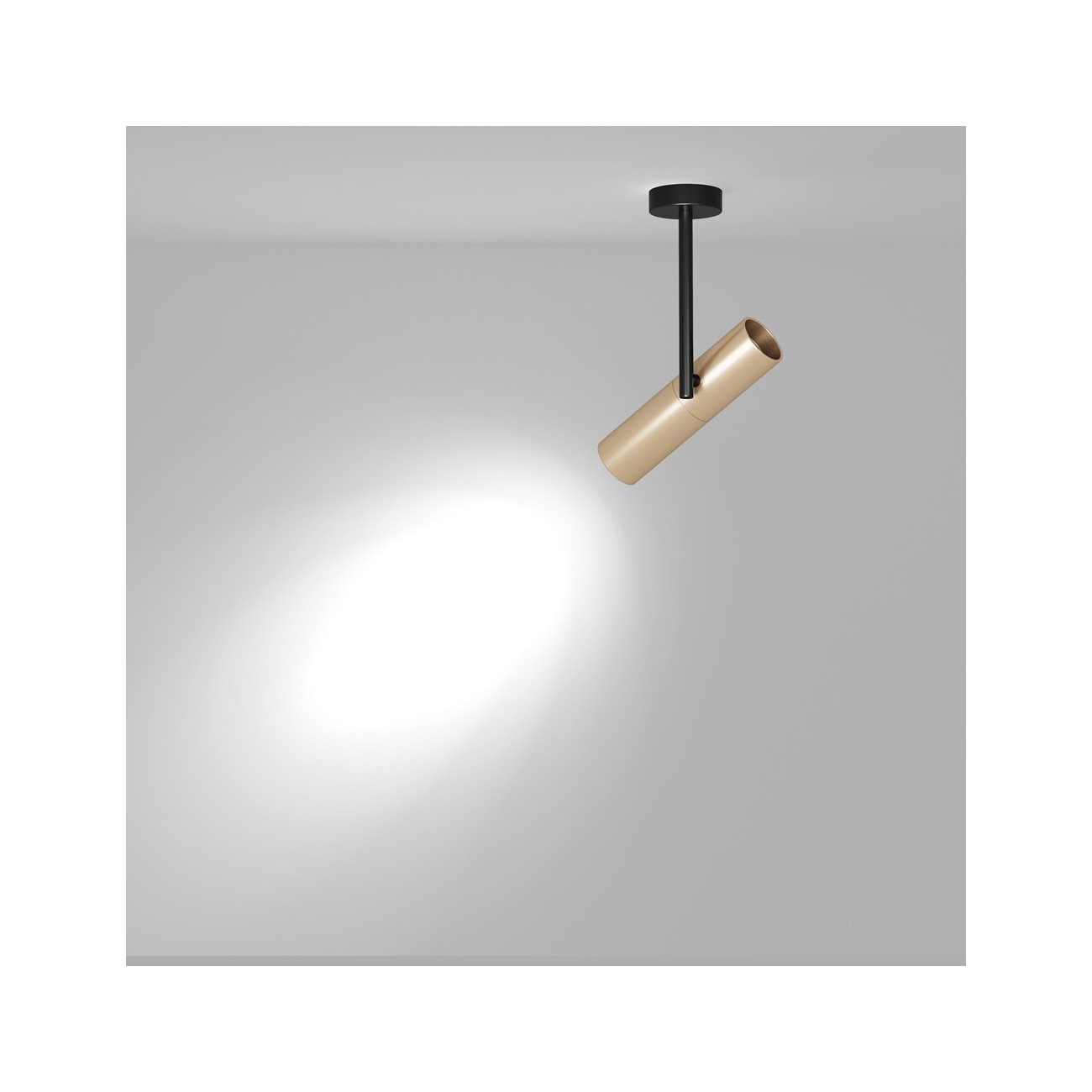 Maytoni Ceiling Lampe de Toit Elti