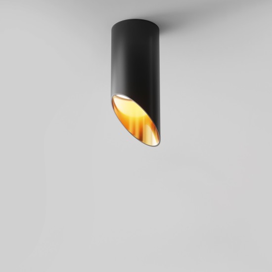 Maytoni Ceiling Roof lamp Lipari