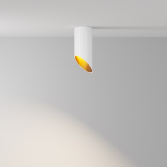 Maytoni Ceiling Roof lamp Lipari