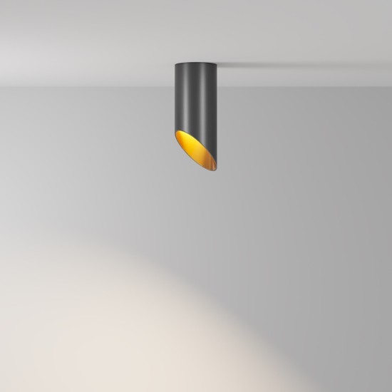 Maytoni Ceiling Roof lamp Lipari
