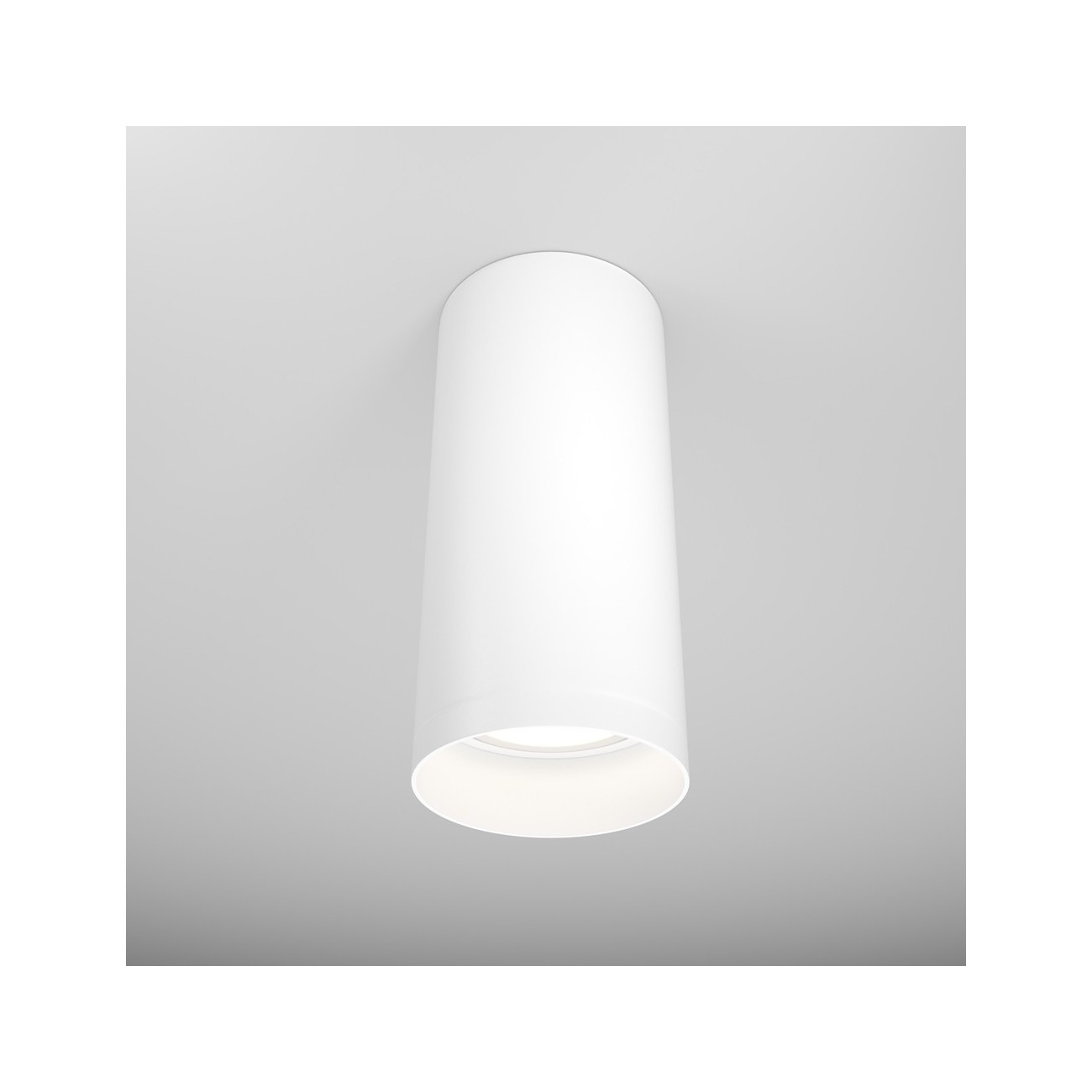 Maytoni Ceiling Lampe de Toit Focus