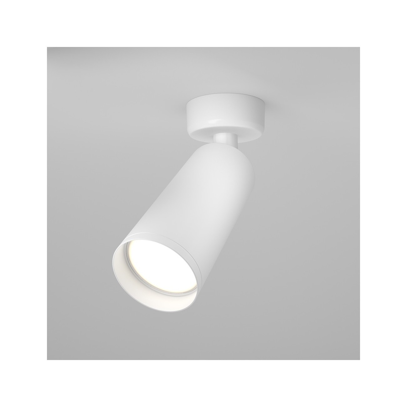 Maytoni Ceiling Lampe de Toit Focus