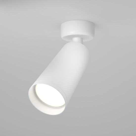 Maytoni Ceiling Roof lamp Focus