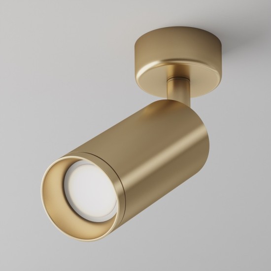 Maytoni Ceiling Roof lamp Focus
