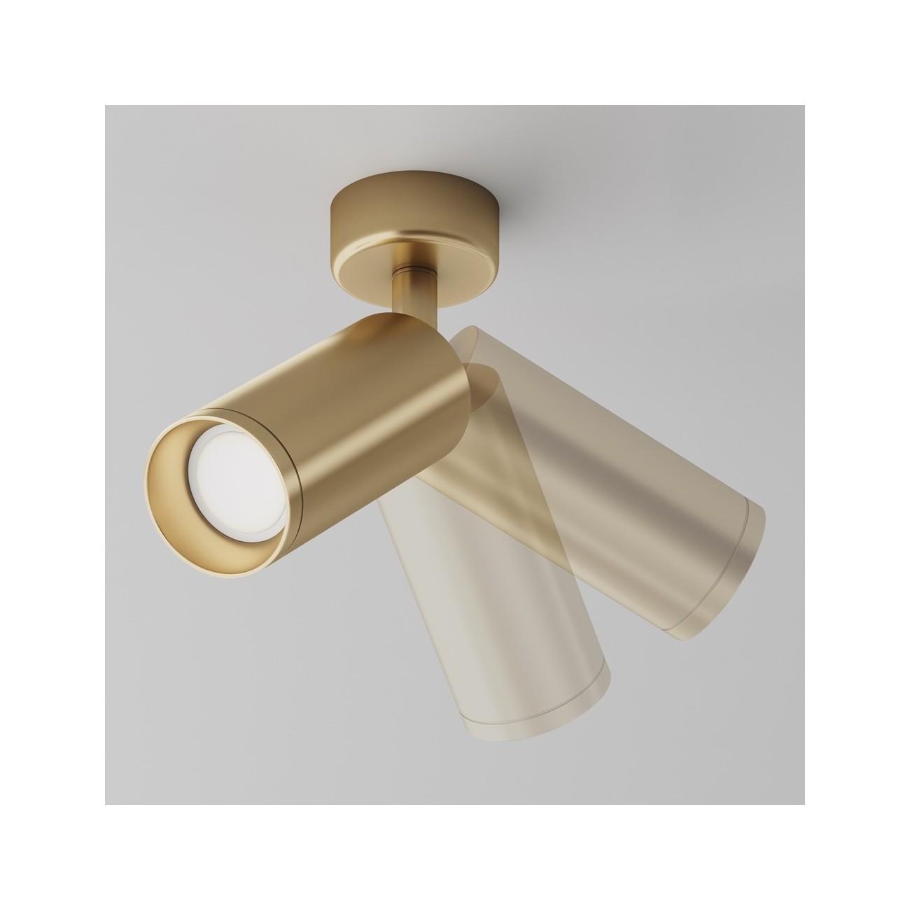 Maytoni Ceiling Roof lamp Focus