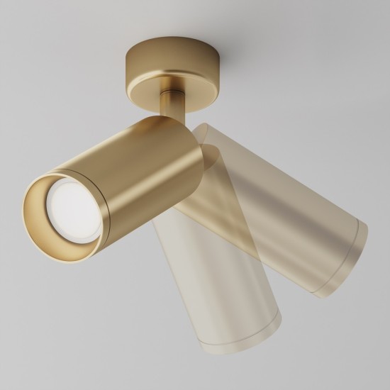 Maytoni Ceiling Lampe de Toit Focus