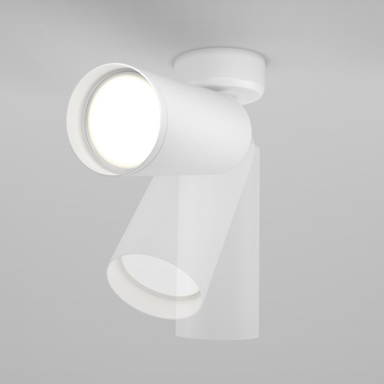 Maytoni Ceiling Roof lamp Focus