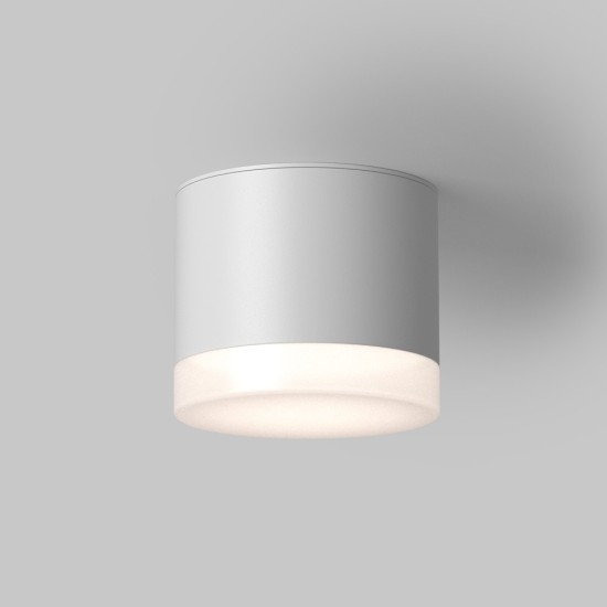 Maytoni Ceiling Roof lamp Pauline