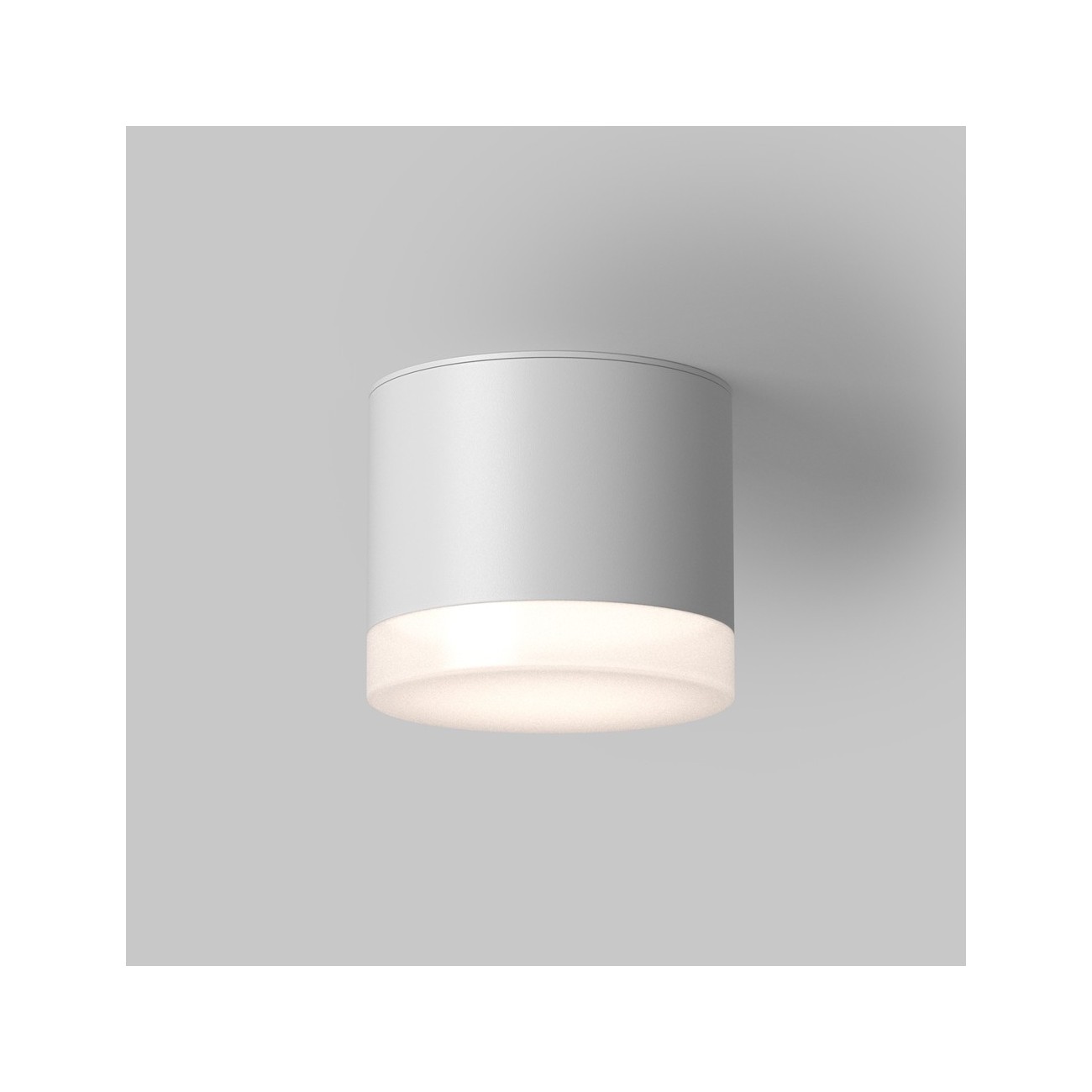 Maytoni Ceiling Roof lamp Pauline