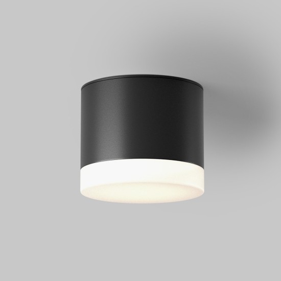 Maytoni Ceiling Roof lamp Pauline