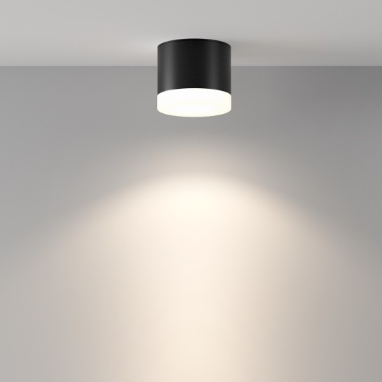 Maytoni Ceiling Roof lamp Pauline