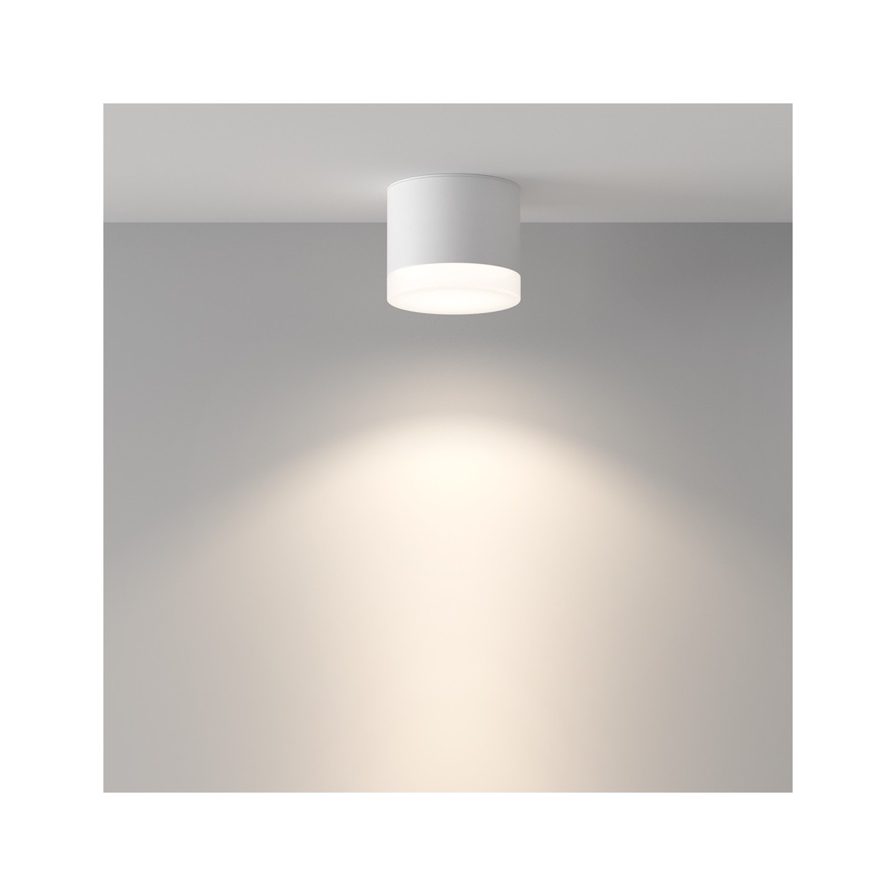 Maytoni Ceiling Roof lamp Pauline