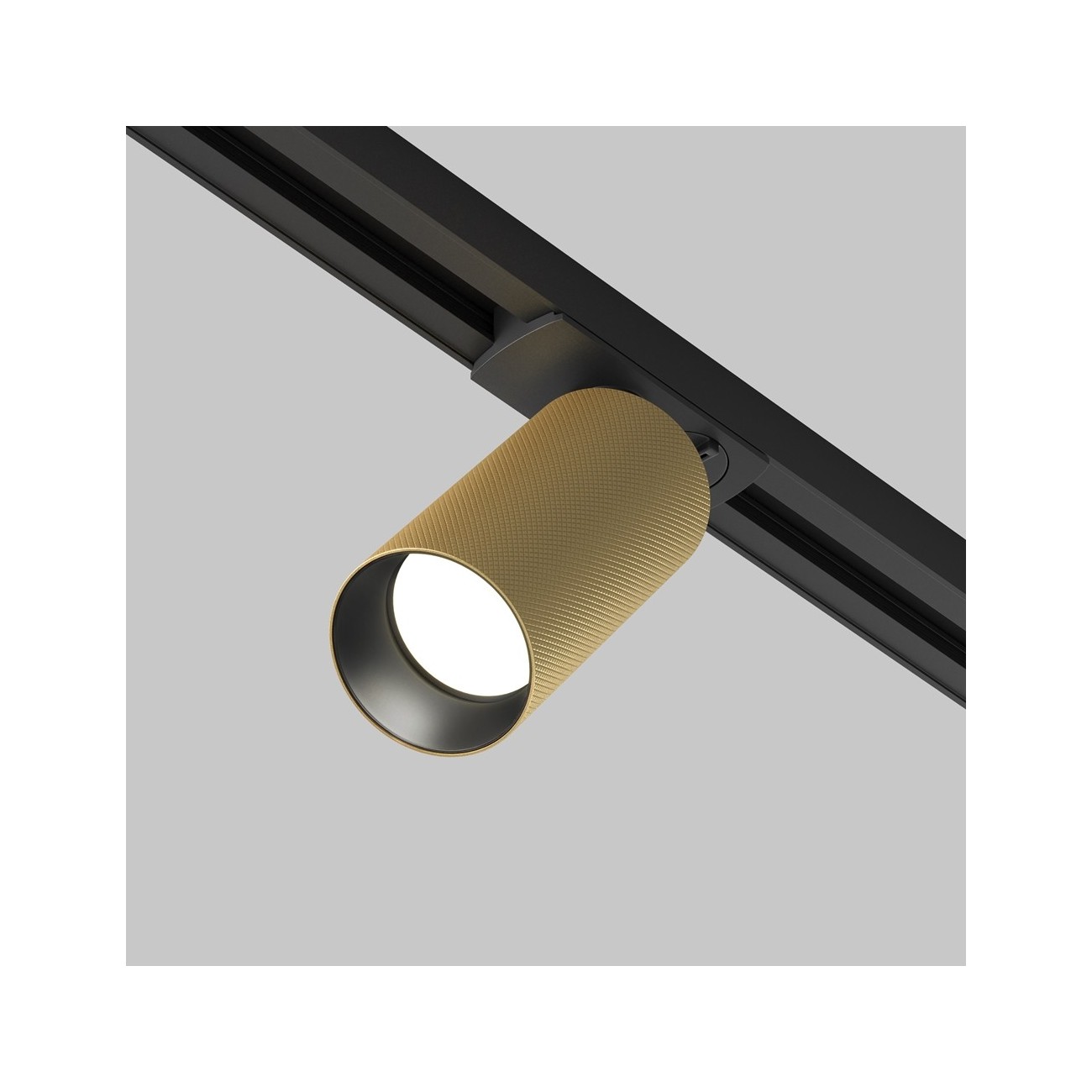 Maytoni Lampe sur rail Artisan Unity