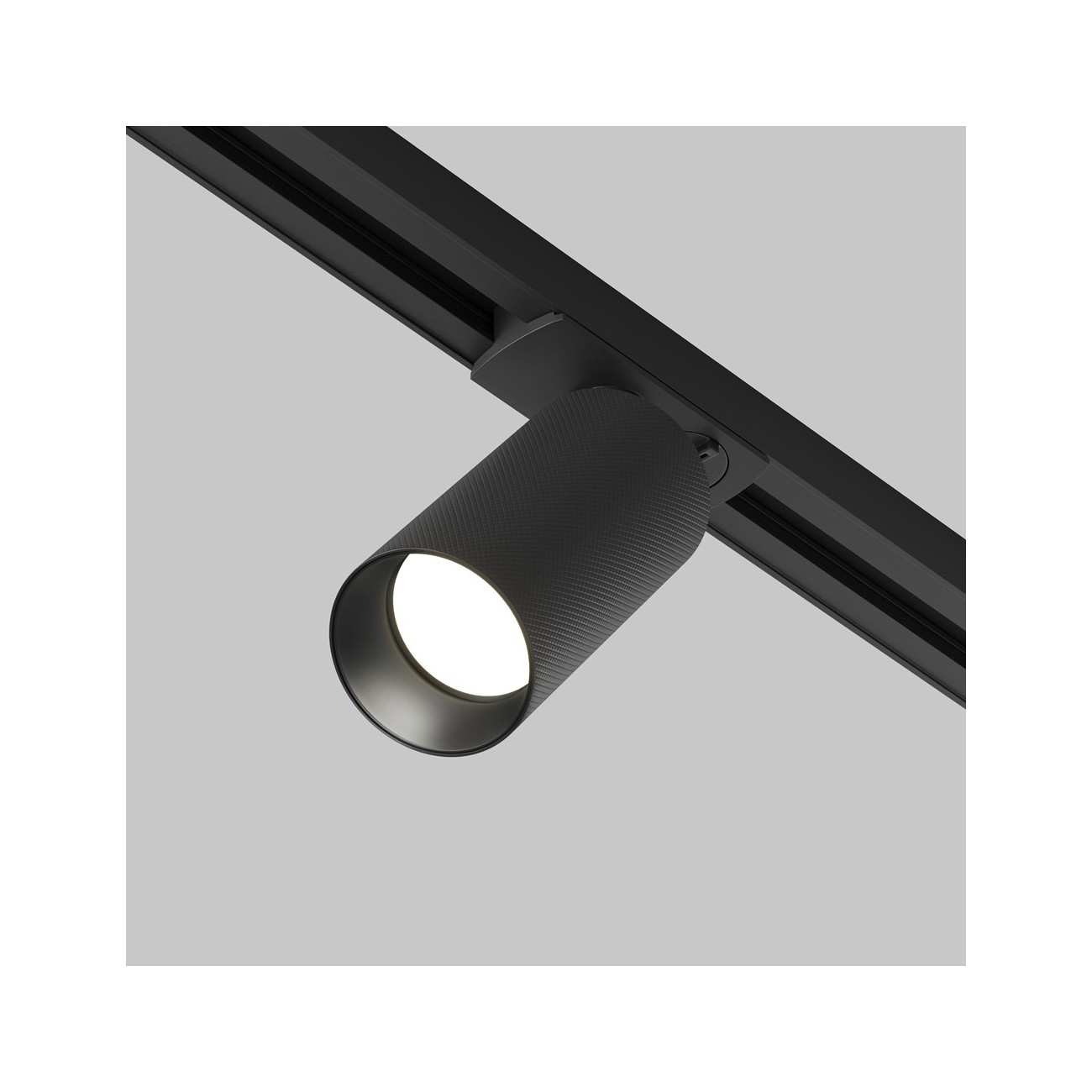 Maytoni Lampe sur rail Artisan Unity