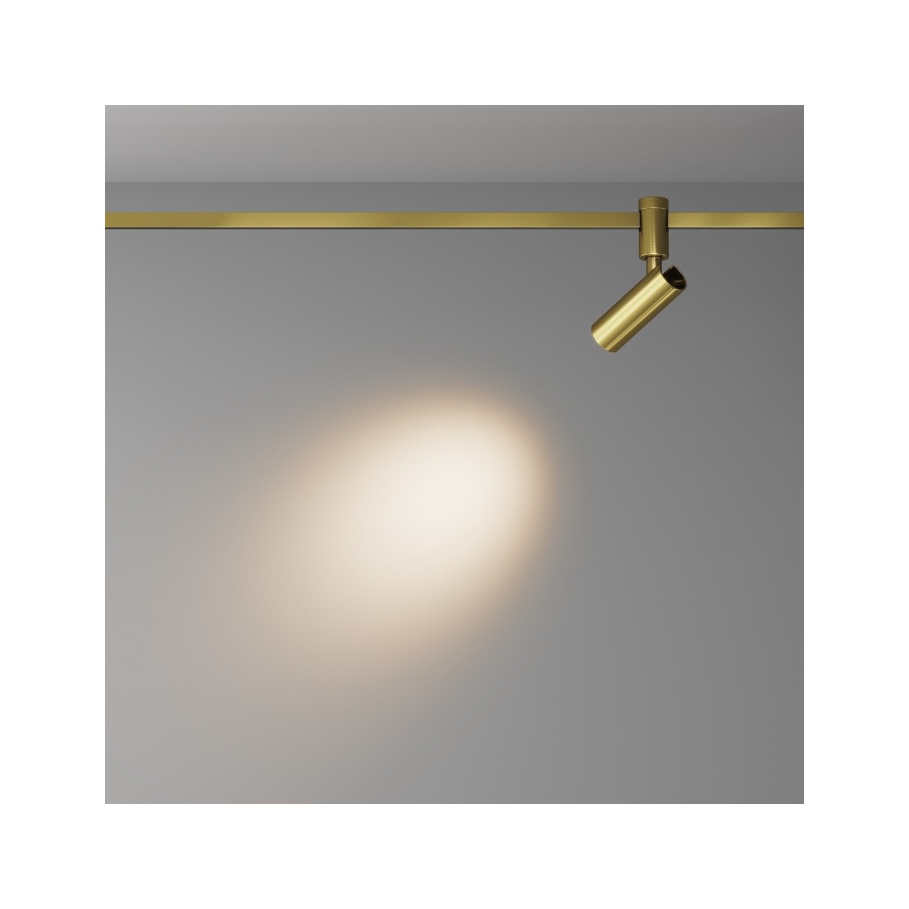 Maytoni Lampe sur rail Focus Led Flarity