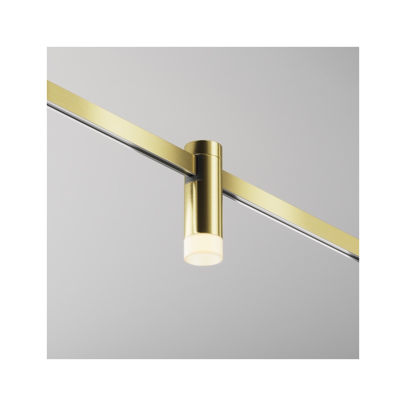 Maytoni Track lamp Skim Flarity