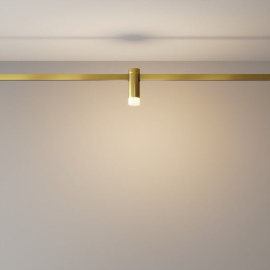 Maytoni Track lamp Skim Flarity