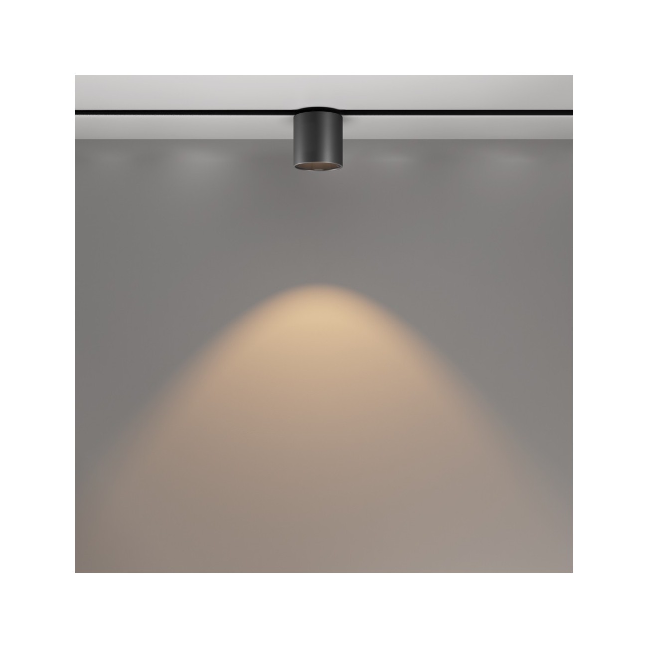 Maytoni Track lamp Alfa S Exility