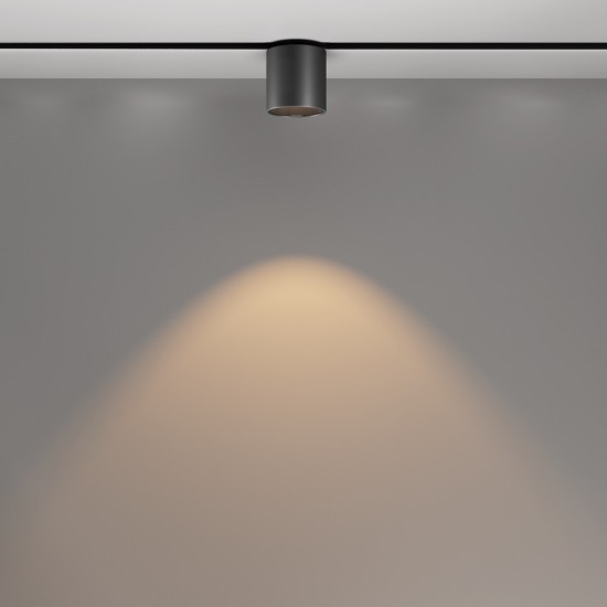 Maytoni Track lamp Alfa S Exility