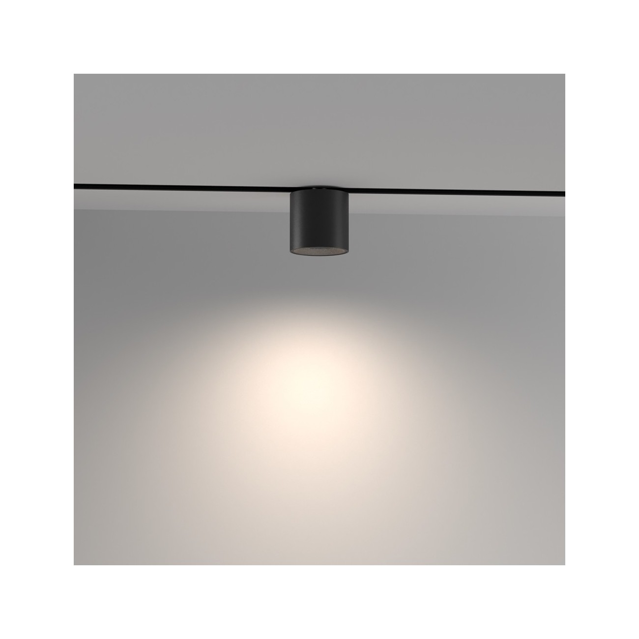 Maytoni Track lamp Alfa S Exility 2700-6000K