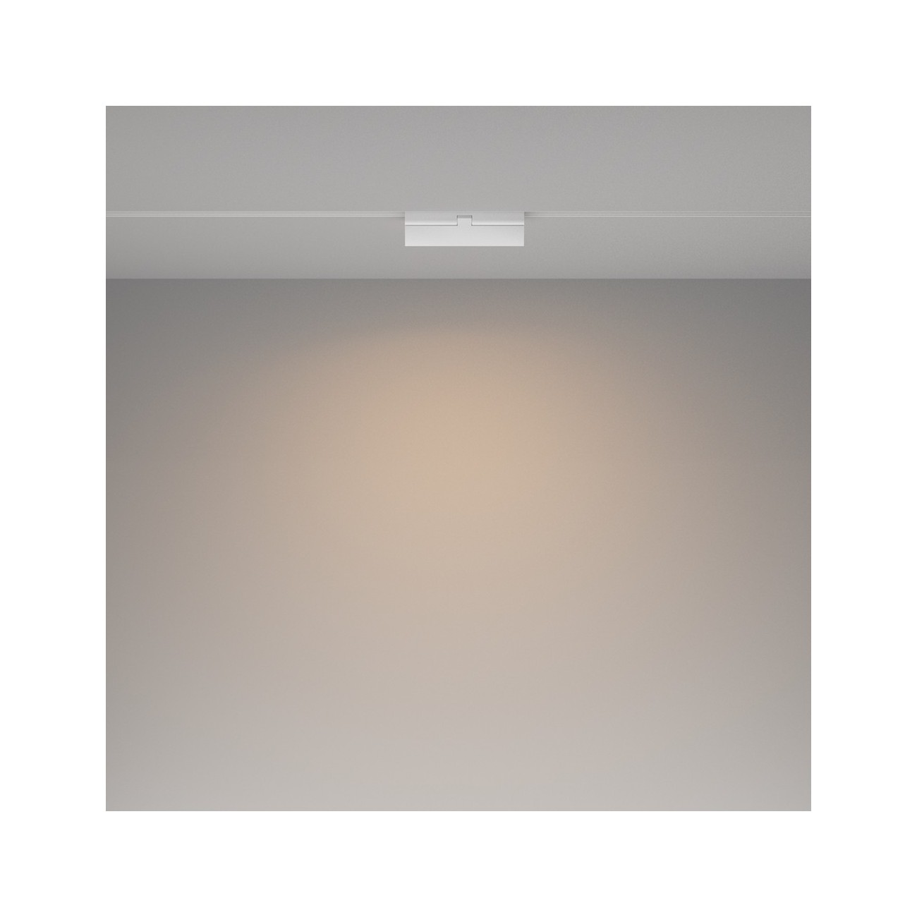 Maytoni Track lamp Basis Rot Exility 2700-6000K dim dali 1