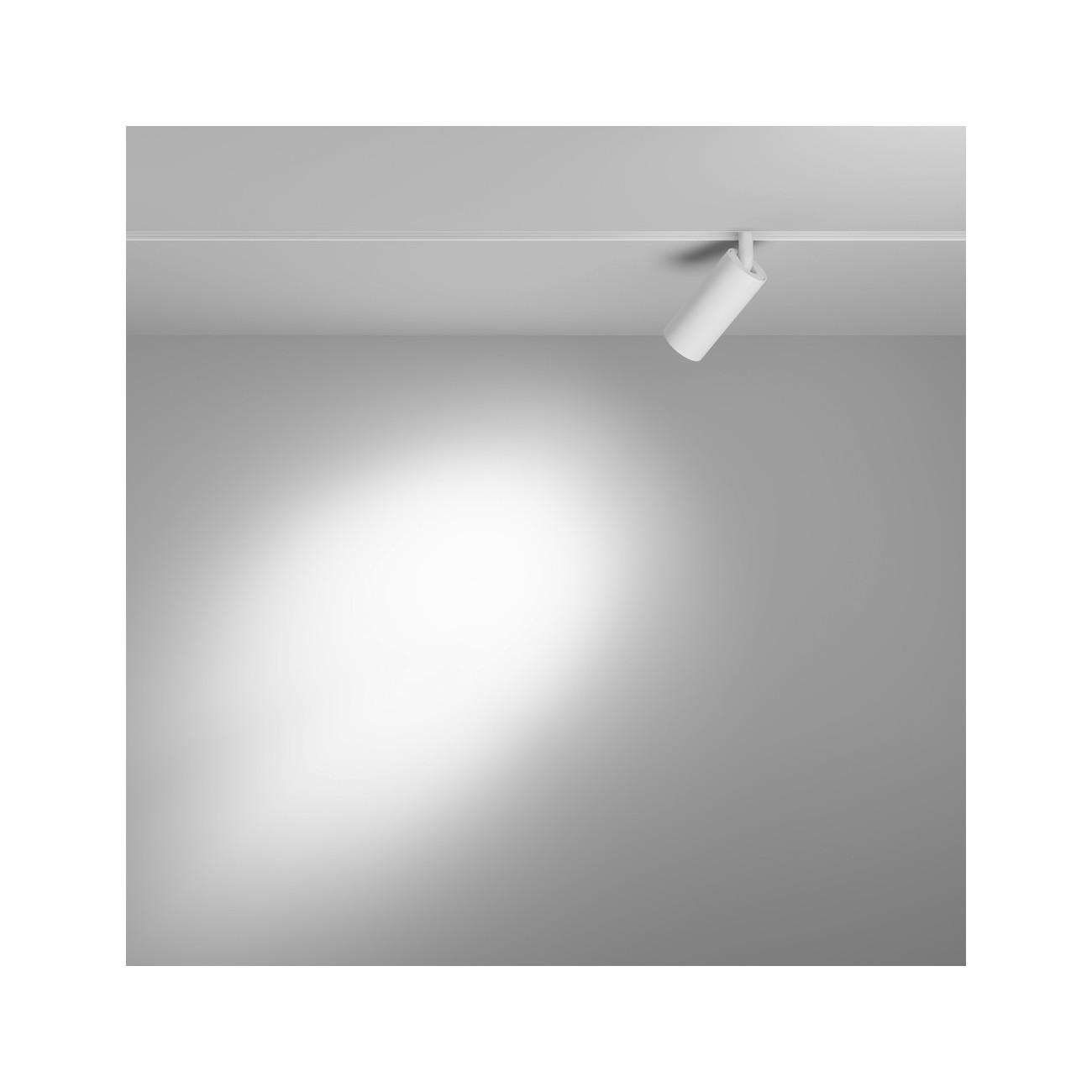 Maytoni Track lamp Focus Led Exility 2700-6000K 5W dim dali 2