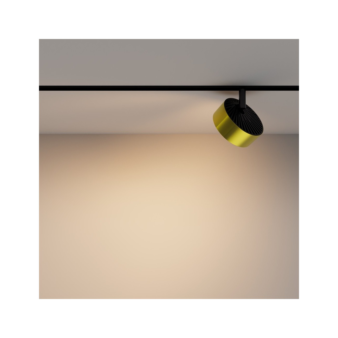 Maytoni Track lamp Rado Exility 3000K 18W