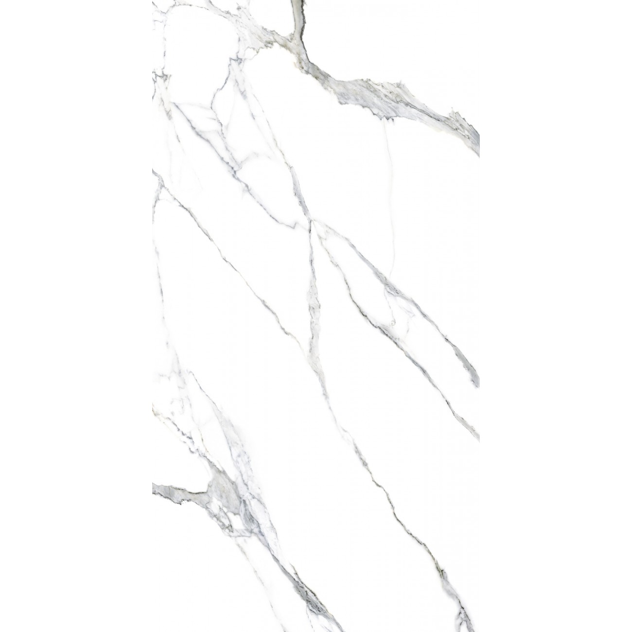 Ava Marmi STATUARIO SPLENDENTE