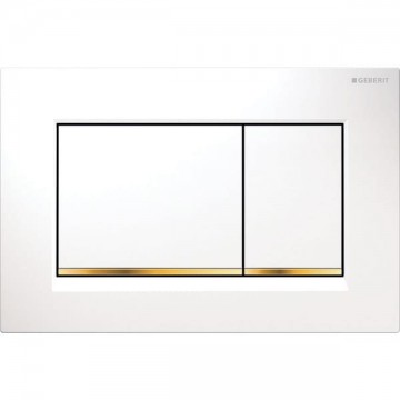 SIGMA30 DUAL-FLUSH PLATES White with polished gold accent